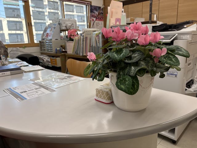 ギャラリー画像3