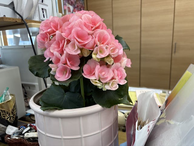 TOPスライド画像